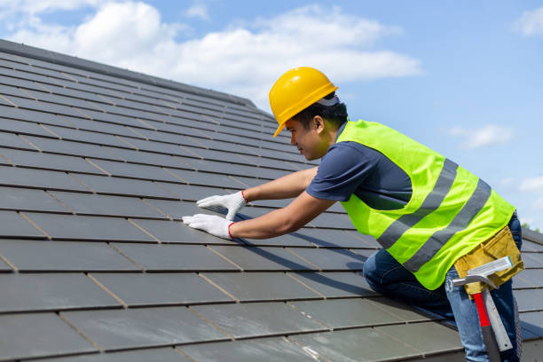 Best Roof Gutter Cleaning  in Sylvania, AL