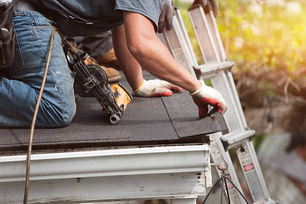 Best Storm Damage Roof Repair  in Sylvania, AL